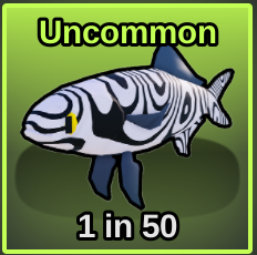 Pilot Fish