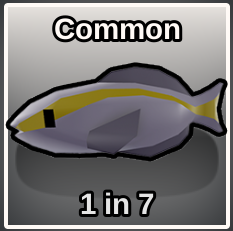 Skunk Tilefish