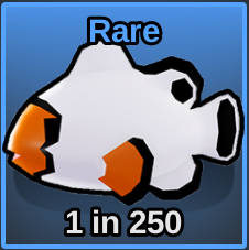 White Clownfish