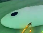 Albino