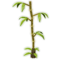 Bamboo Tree
