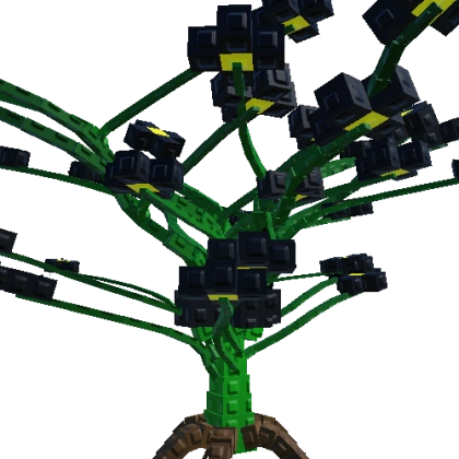 Biggest Shadow Buttercup