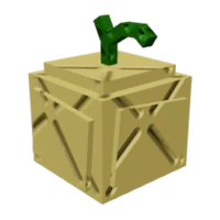 Crown Melon