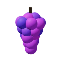 Grape