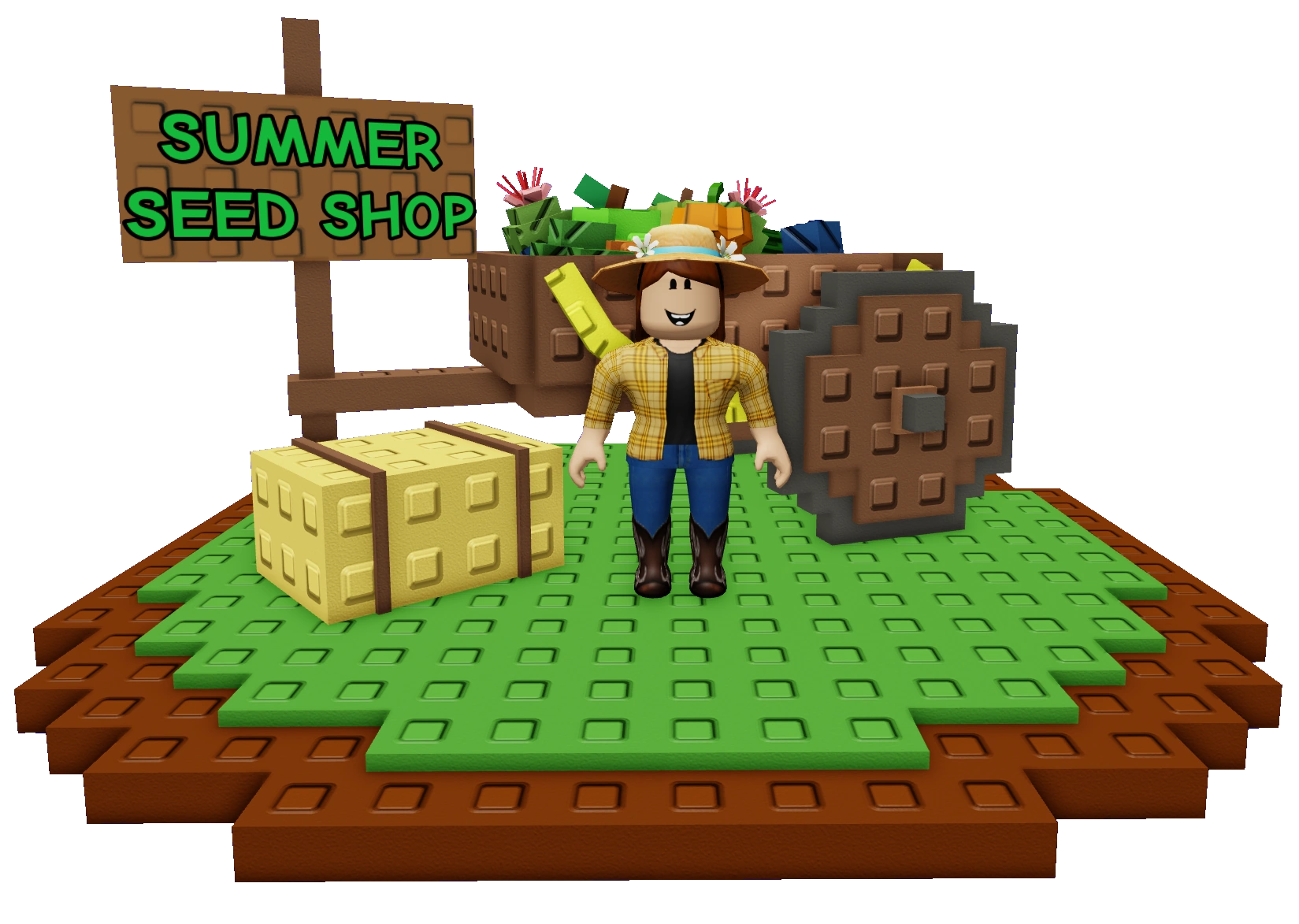 Summer Seed Merchant