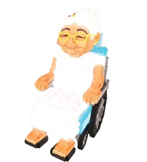 Wheelchair Granny