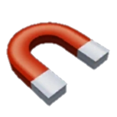 Magnet