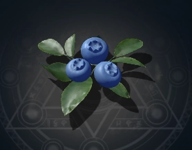Blueberry